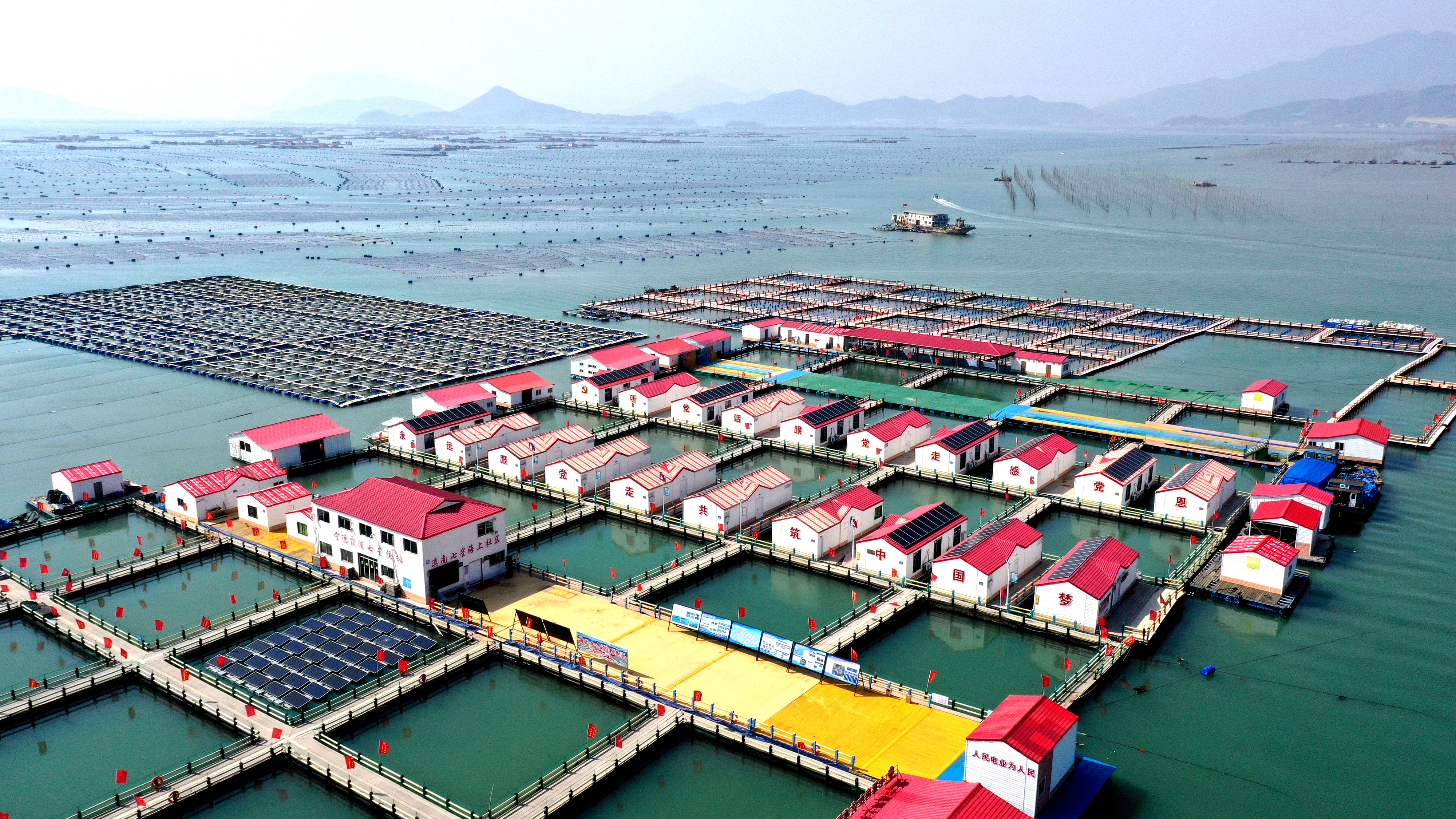 2024年3月20日，福建省寧德市，霞浦縣溪南鎮(zhèn)七星村漁排養(yǎng)殖示范區(qū)，漁民駕駛養(yǎng)殖船進(jìn)行海參養(yǎng)殖作業(yè)。