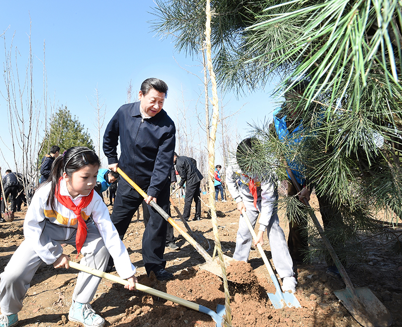 2015年4月3日，習近平總書記同大家一起植樹。