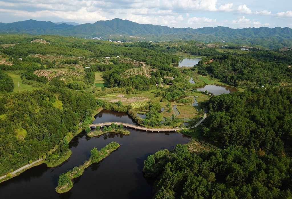 福建省龍巖市長汀縣的長汀汀江國家濕地公園景色（2020年7月28日攝，無人機照片）。新華社記者 魏培全 攝