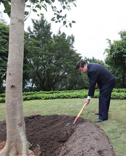 2012年12月7日至11日，習近平在廣東省考察工作。這是8日上午，習近平在深圳蓮花山公園種下一棵高山榕樹。新華社記者 蘭紅光 攝