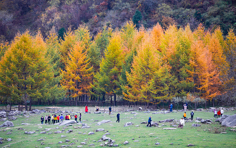 2023年10月27日，深秋時節(jié)的陜西秦嶺太子嶺漫山紅黃、色彩交織，進(jìn)入最佳觀賞期。