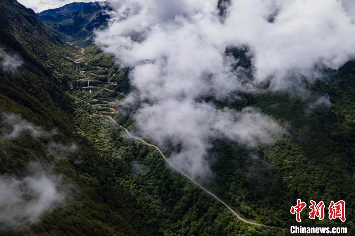 西藏山南勒布溝景區(qū)的盤山公路被云霧環(huán)繞?！〗w波 攝