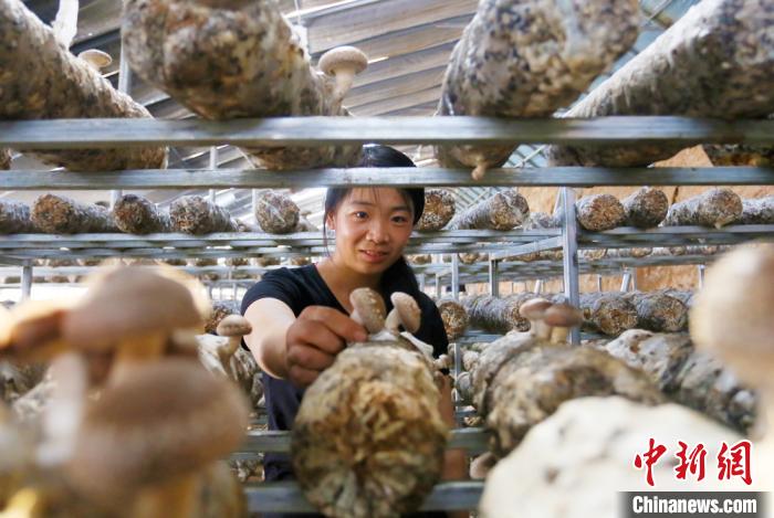 甘肅天?！跋愎椒蚱蕖毕律饺氪ǎ捍笈锢镉板X景”