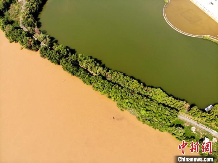 圖為2020年9月3日航拍黃河蘭州段濕地公園現(xiàn)黃河“鴛鴦鍋”。(資料圖) 高瑩 攝