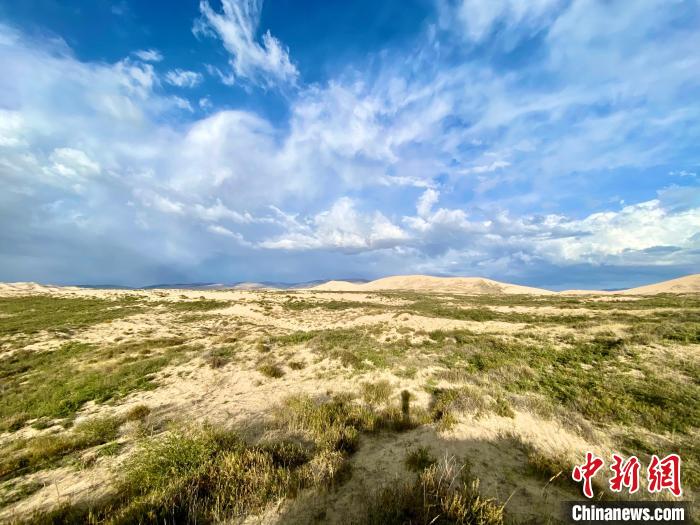 圖為關(guān)停四年后的沙島景區(qū)現(xiàn)狀?！±罱瓕?攝