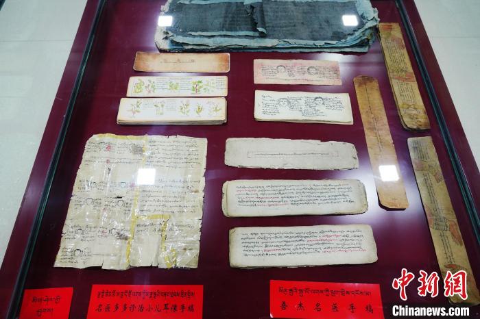 圖為藏醫(yī)古集文獻(xiàn)和藏醫(yī)臨床原始手稿。　馬銘言 攝