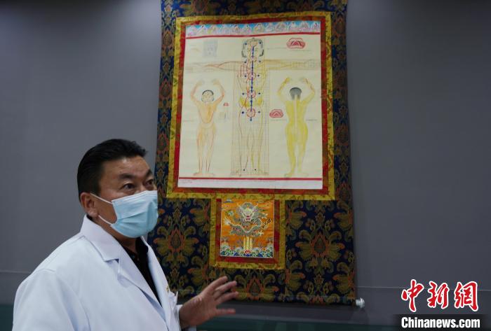 圖為興?？h藏醫(yī)院院長(zhǎng)介紹藏醫(yī)四部醫(yī)典詳實(shí)圖?！●R銘言 攝