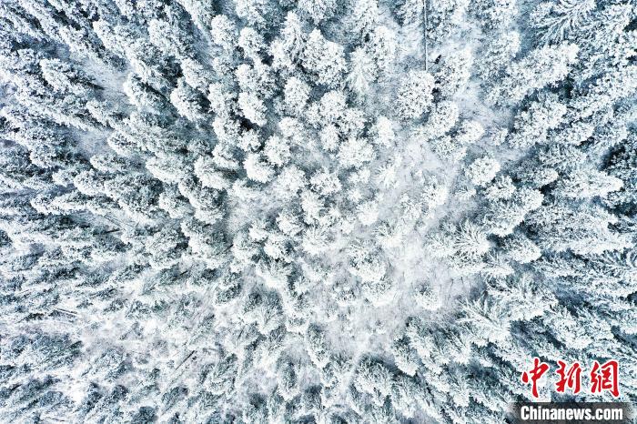 壤塘的雪后美景?！∪捞量h融媒體中心供圖