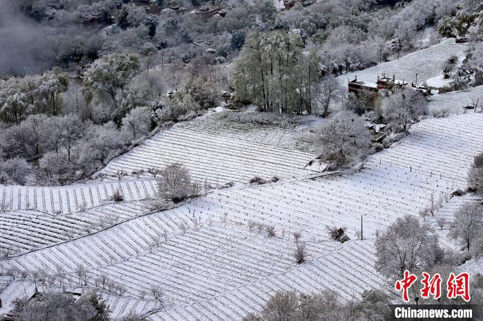 雪后的高山田間如畫。　李永安 攝
