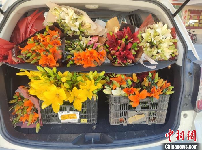 剛剛采摘下來(lái)的百合花。　壤塘縣委宣傳部供圖