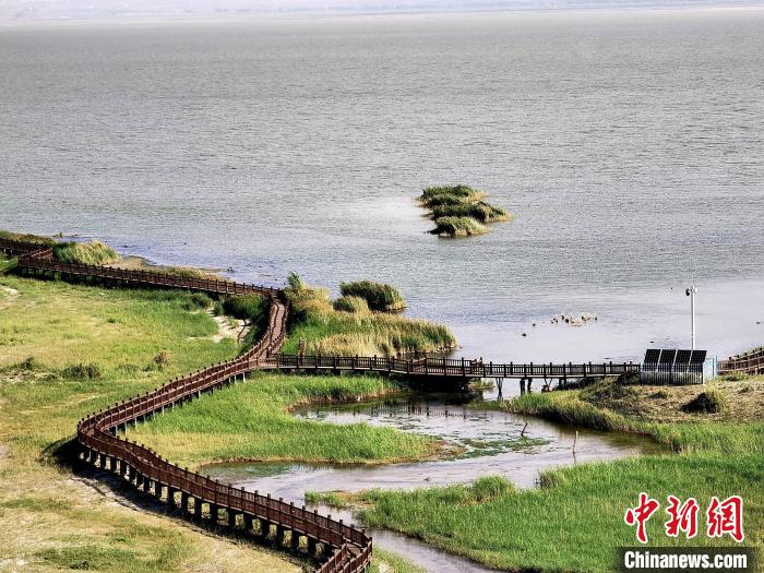 圖為都蘭湖國(guó)家濕地公園觀光棧道?！∑钤鲚?攝