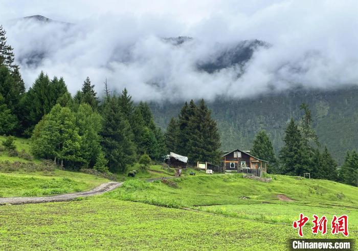 6月10日，魯朗小鎮(zhèn)高山牧場景區(qū)風光?！∪轿木?攝