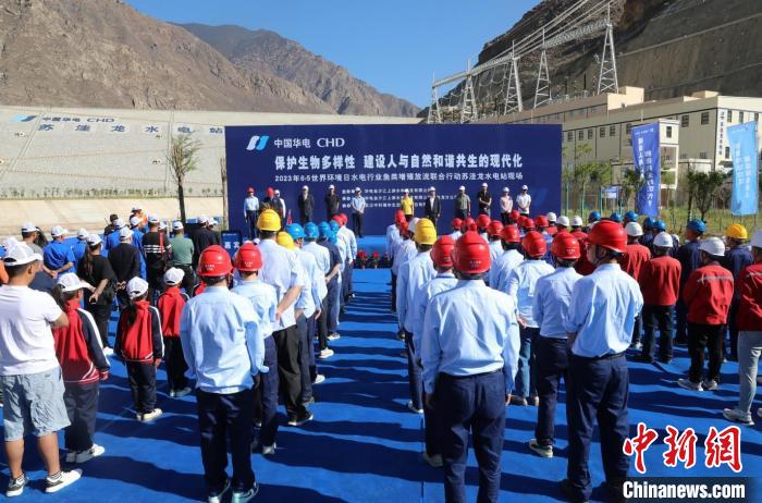 圖為蘇洼龍水電站魚類放流現(xiàn)場?！√K洼龍水電站供圖