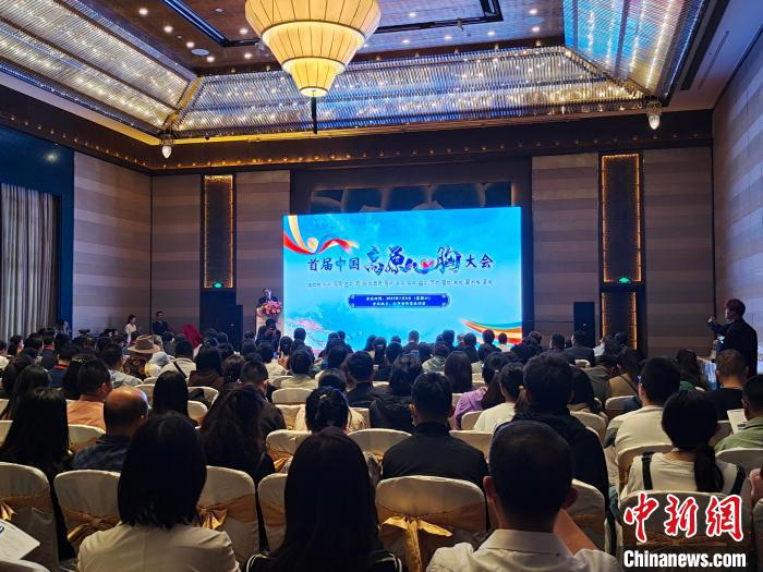 圖為首屆中國高原心胸大會現(xiàn)場?！☆D旦旺姆 攝