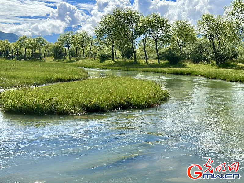 我們的家園丨【組圖】 綠水青山入畫，“金山銀山”筑起