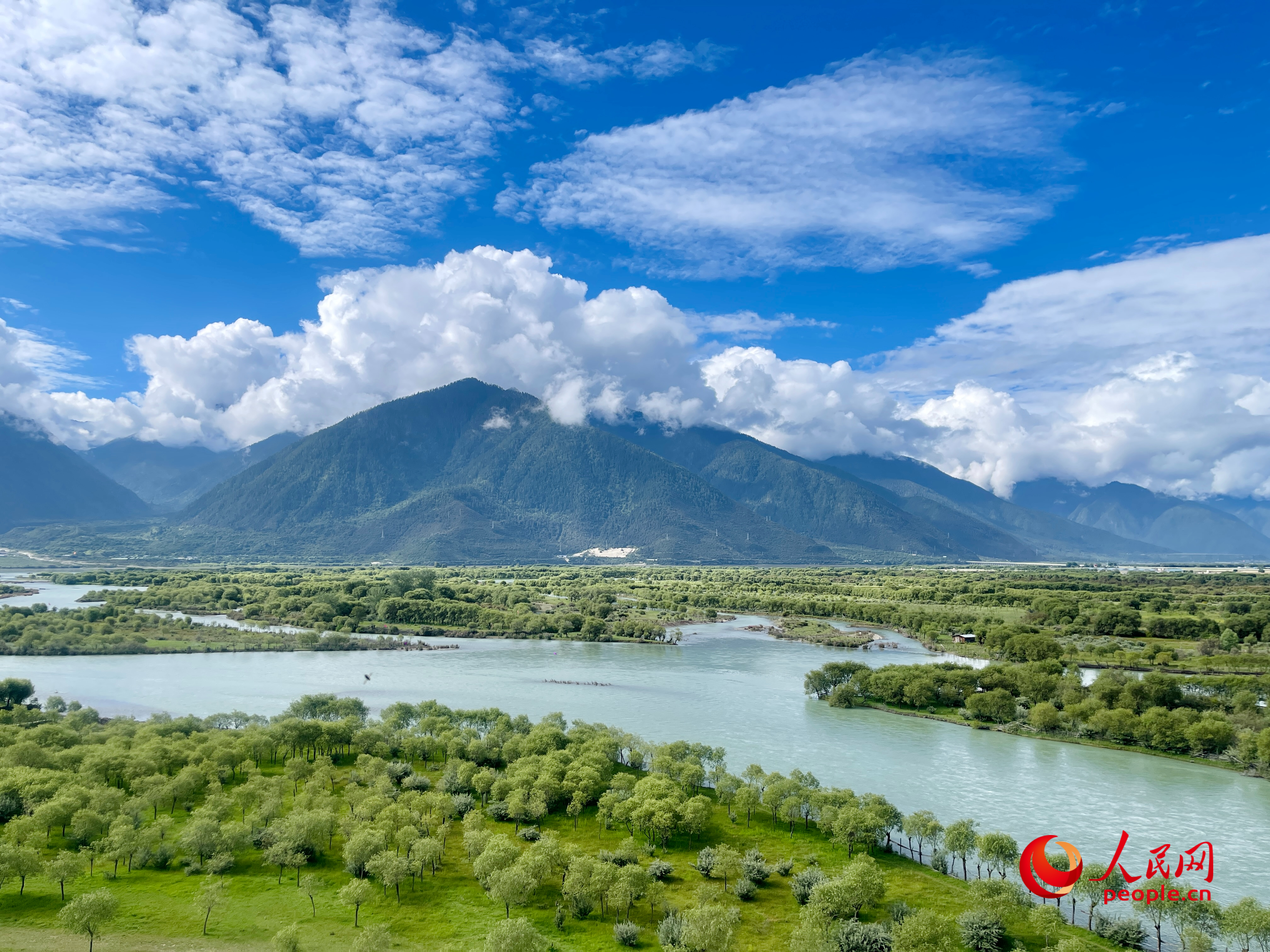 夏日的雅尼國家濕地公園生機(jī)盎然，如詩如畫。人民網(wǎng) 周靜圓攝