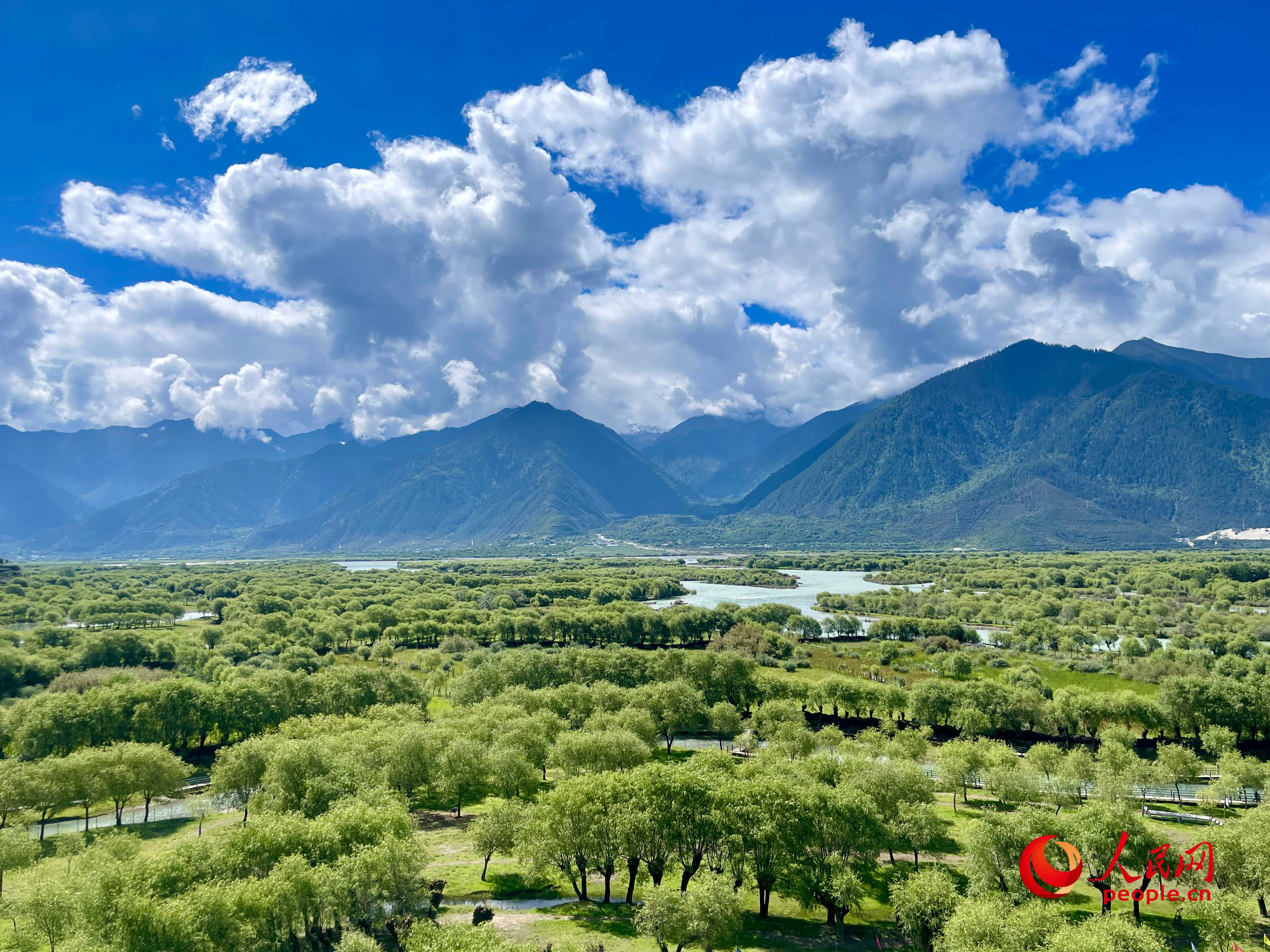 夏日的雅尼國家濕地公園生機(jī)盎然，如詩如畫。人民網(wǎng) 周靜圓攝