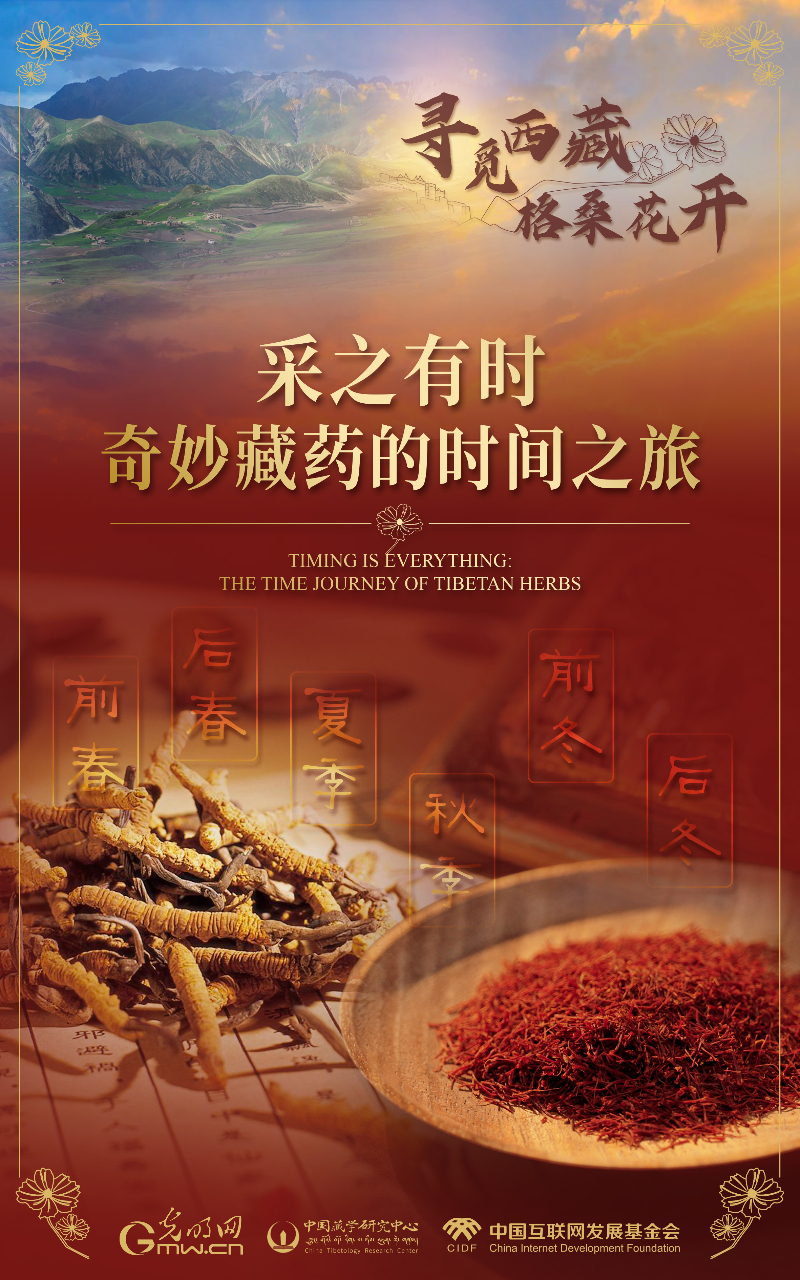 【尋覓西藏·格?；ㄩ_(kāi)】采之有時(shí)：奇妙藏藥的時(shí)間之旅
