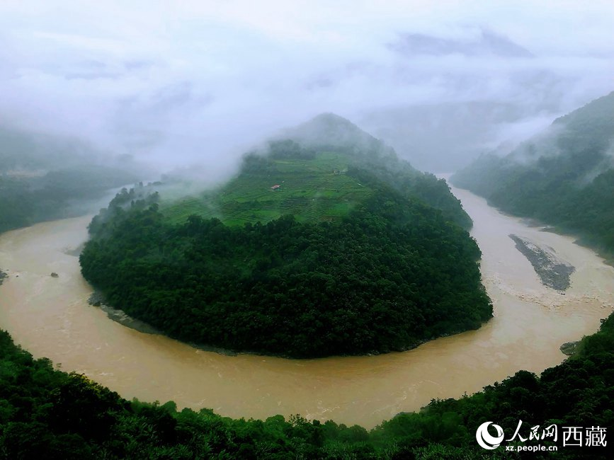 雅魯藏布江大峽谷蛇形拐彎處，山坡上種滿茶樹(shù)。