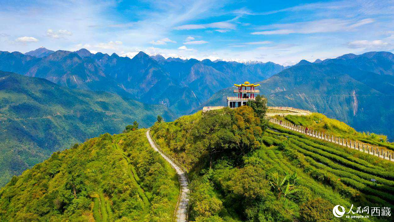 無人機航拍墨脫縣格林村蓮花觀景臺。人民網(wǎng)記者 次仁羅布攝