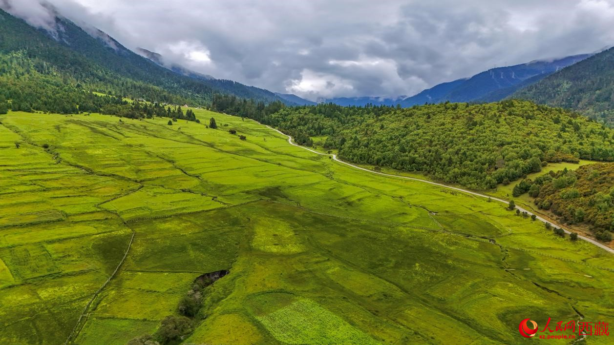 圖為航拍高山牧場(chǎng)鳥瞰圖。人民網(wǎng)記者 次仁羅布攝