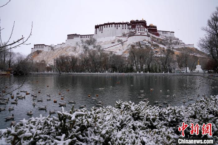 西藏拉薩雪后風(fēng)光秀麗